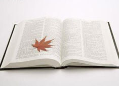 瓦伦西亚客场大胜，挫败对手雄心