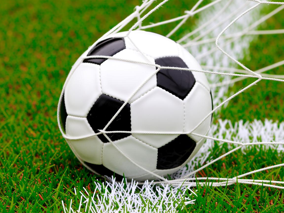 od体育官网-北京鸭攻守两端全面开花展现强队风采，北京鸭川  第3张